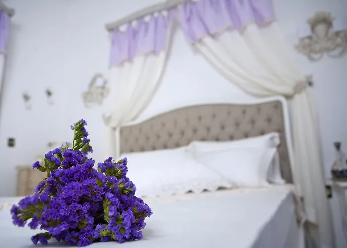 Hotel Hane Boutique